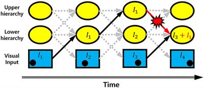 Robust and efficient representations of dynamic stimuli in hierarchical neural networks via temporal smoothing